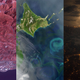 Illustration for article titled Winter Olympics Host Cities Look Amazing From Space